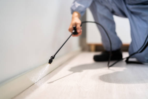 Licensed Pest Control service in La Verkin, UT - Show Me Pest Control